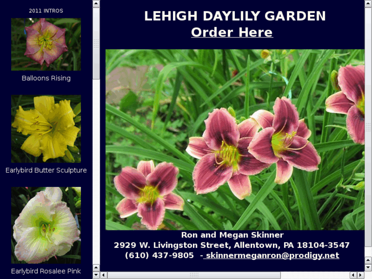 www.lehighdaylilies.com