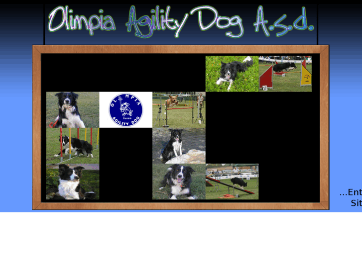 www.olimpiaagilitydog.it