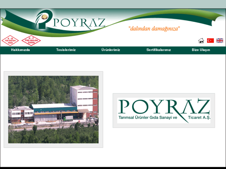 www.poyrazfindik.net