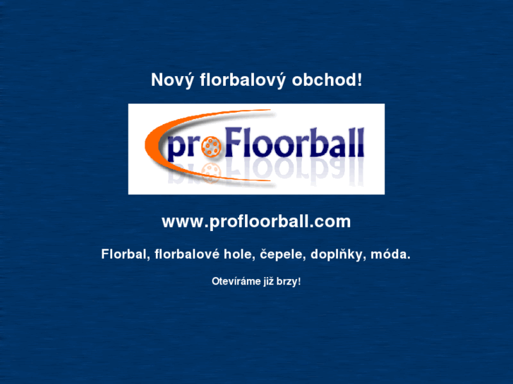 www.profloorball.com