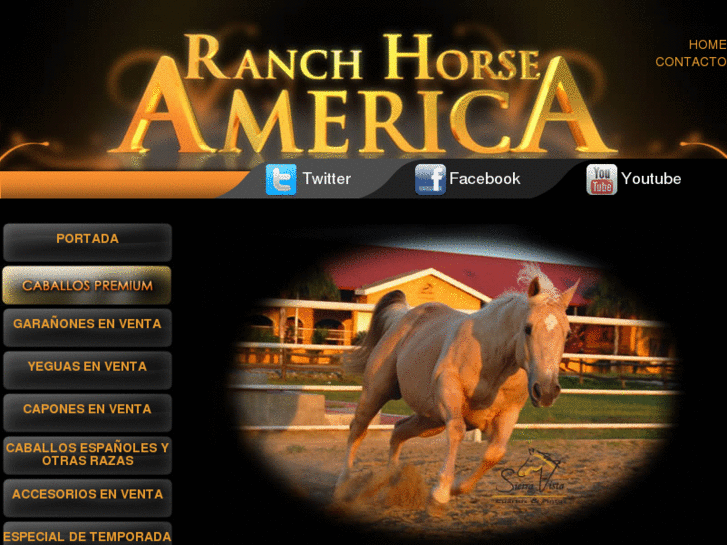 www.ranchsortingamerican.com
