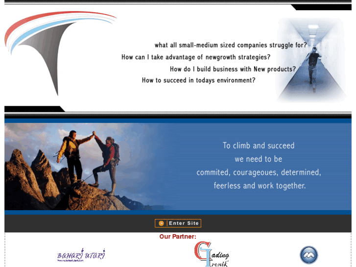 www.t-groups.info