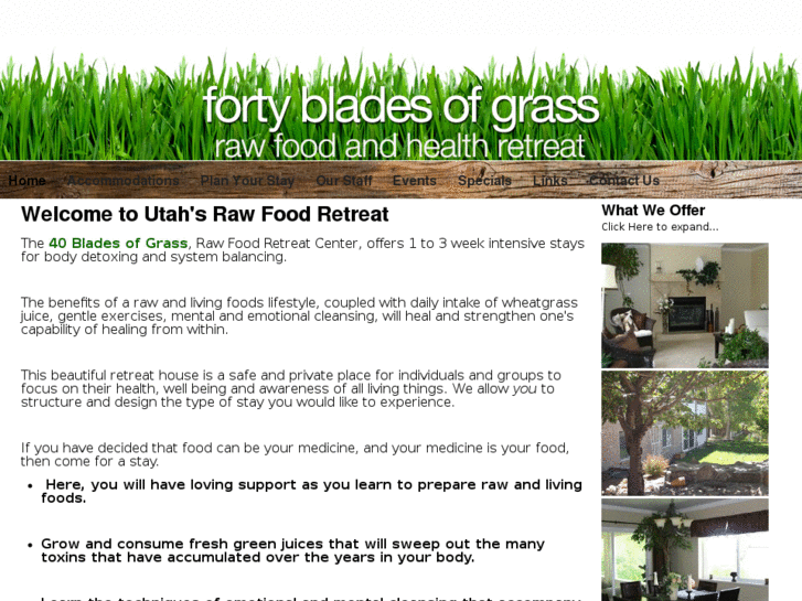 www.40bladesofgrass.com