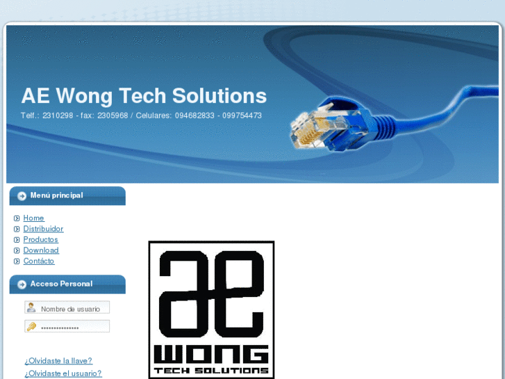 www.aewongtechsolutions.com