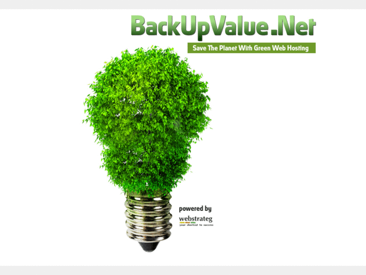 www.backupvalue.net