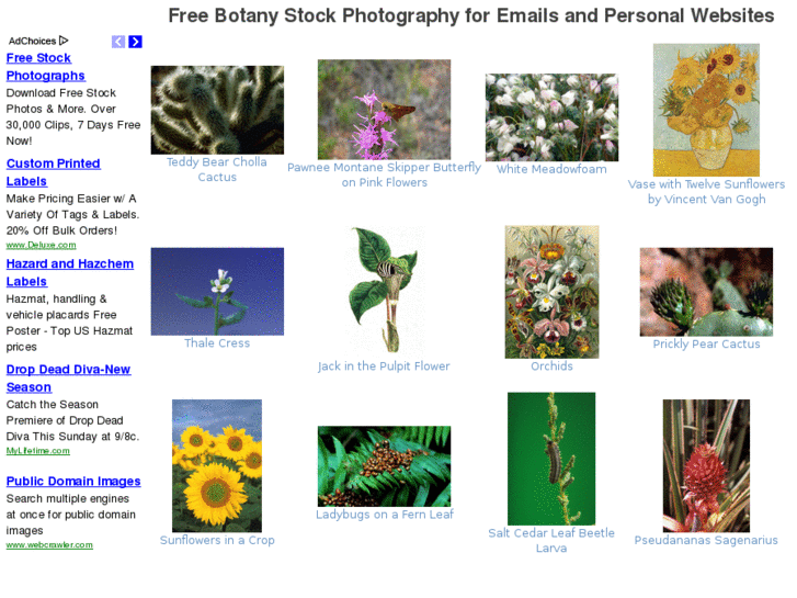 www.botanystockphotography.com