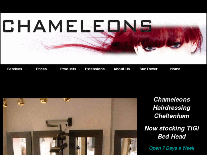 www.chameleonshair.com