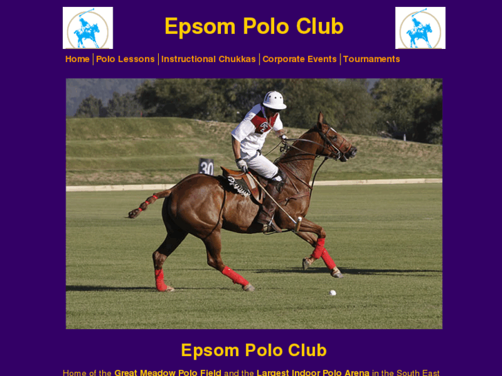 www.epsompoloclub.co.uk