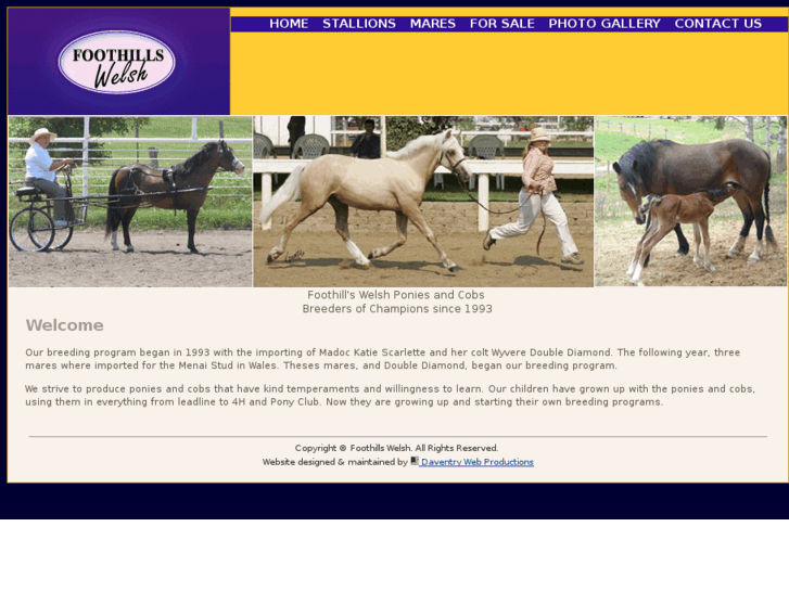 www.foothillswelsh.com