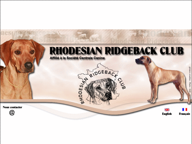 www.rhodesianridgebackclub.com