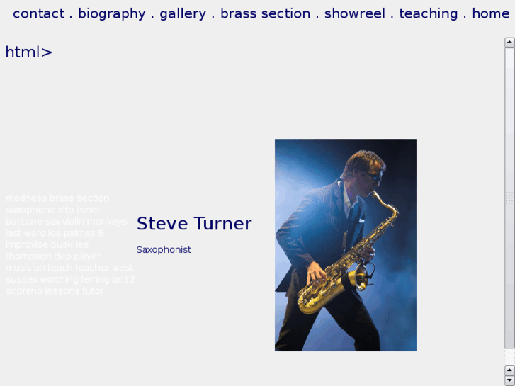 www.steveturner.info