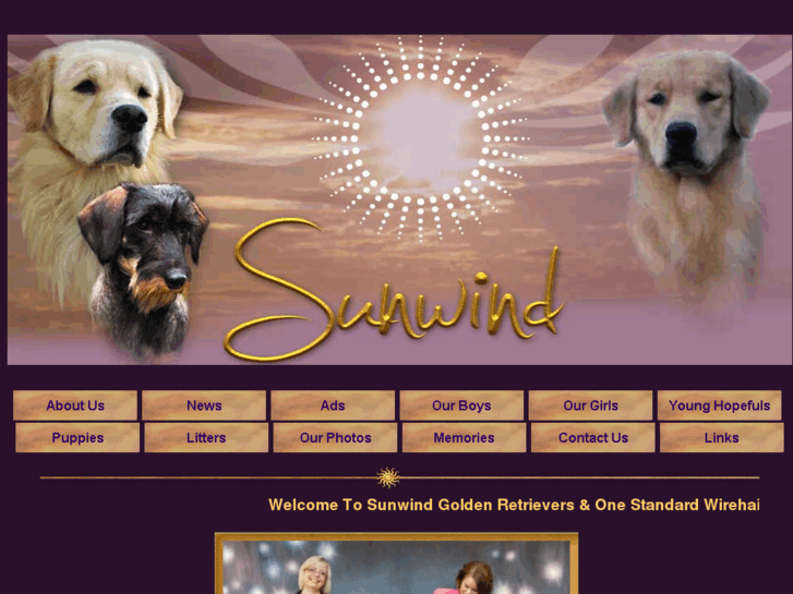 www.sunwindgoldens.com