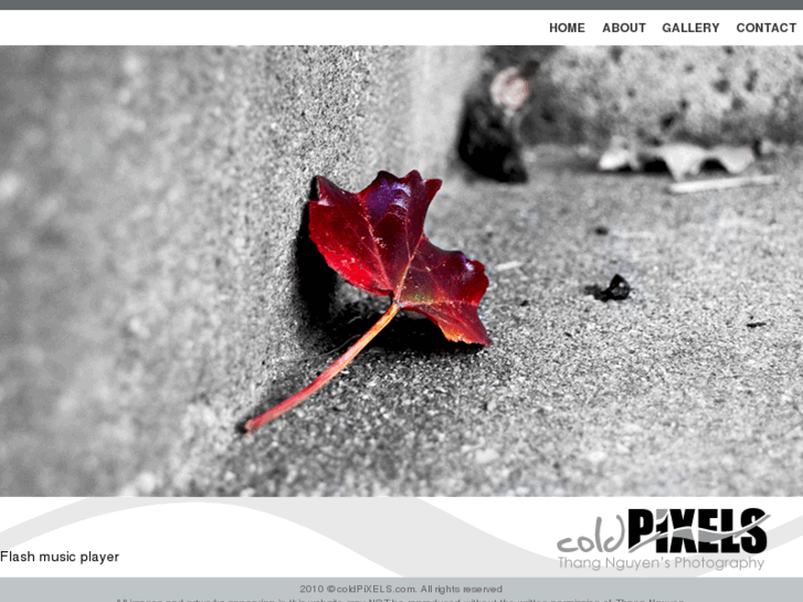 www.coldpixels.com