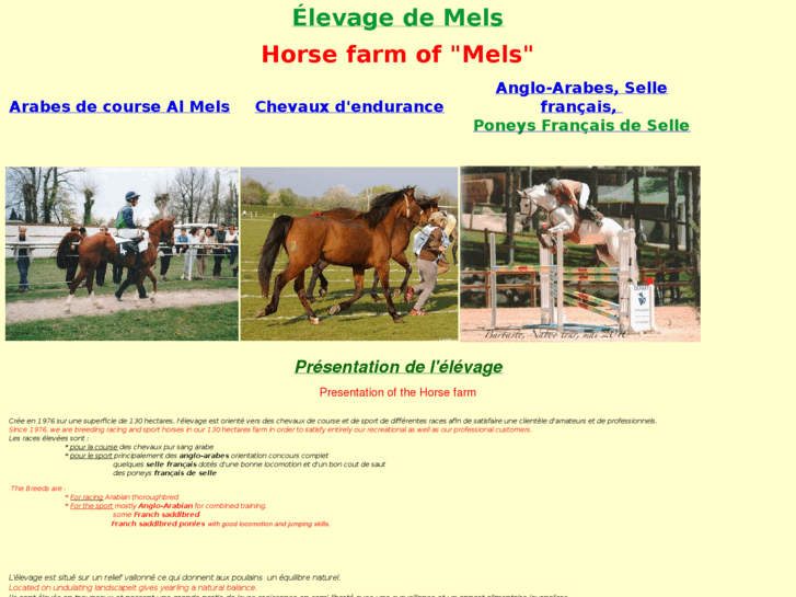 www.elevage-de-mels.com