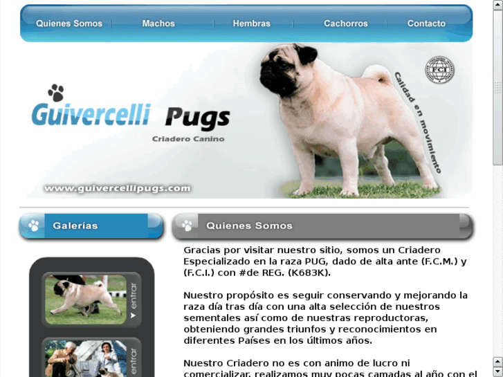 www.guivercellipugs.com