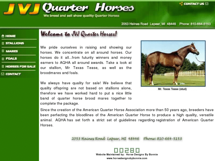 www.jvjquarterhorses.com