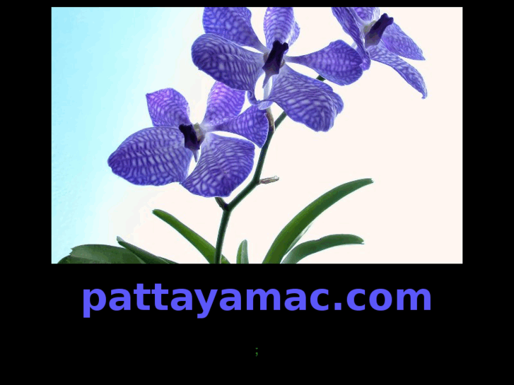 www.pattayamac.com