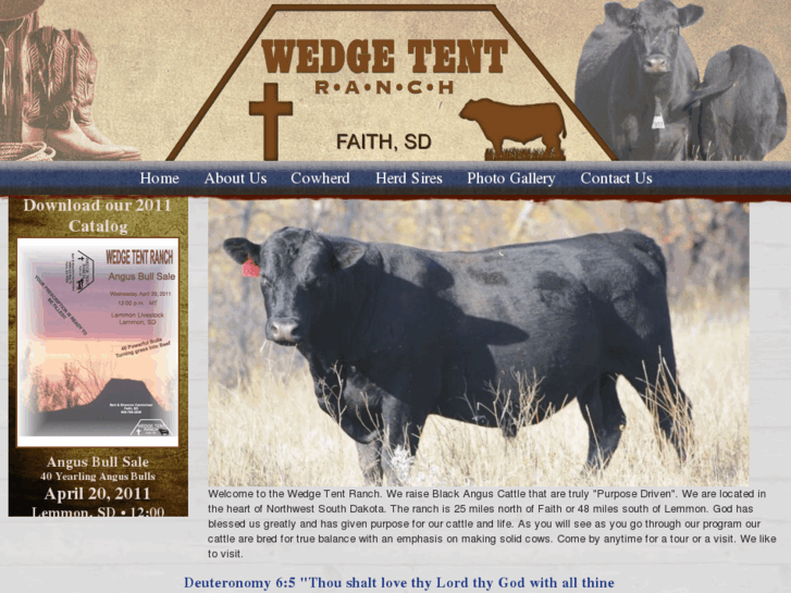 www.wedgetentangus.com