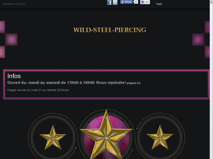 www.wild-steel-piercing.net