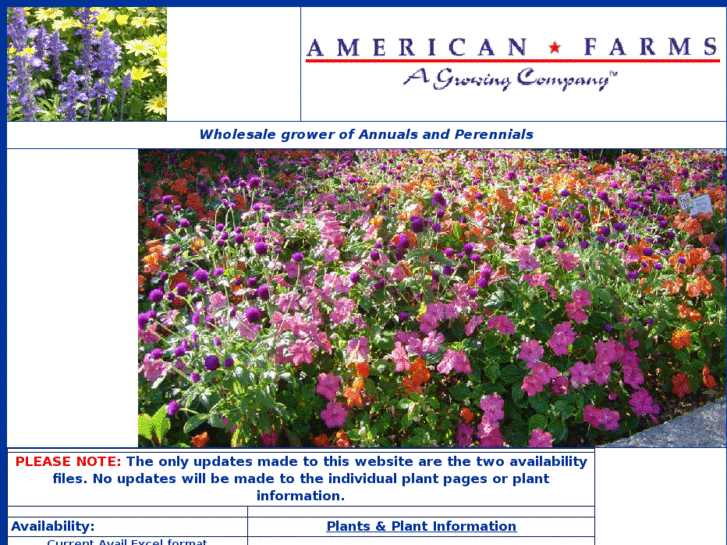 www.american-farms.com
