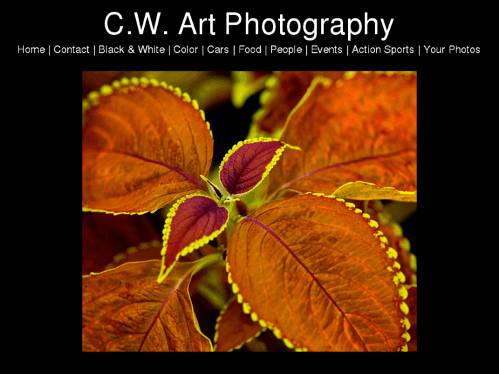 www.cwartphotography.com