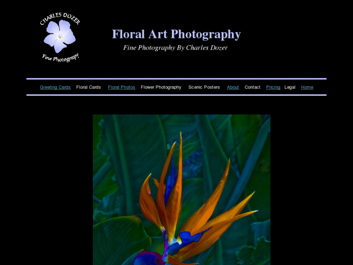 www.floral-art-photography.com