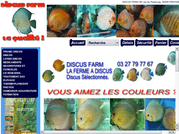 www.hexagonediscus.com