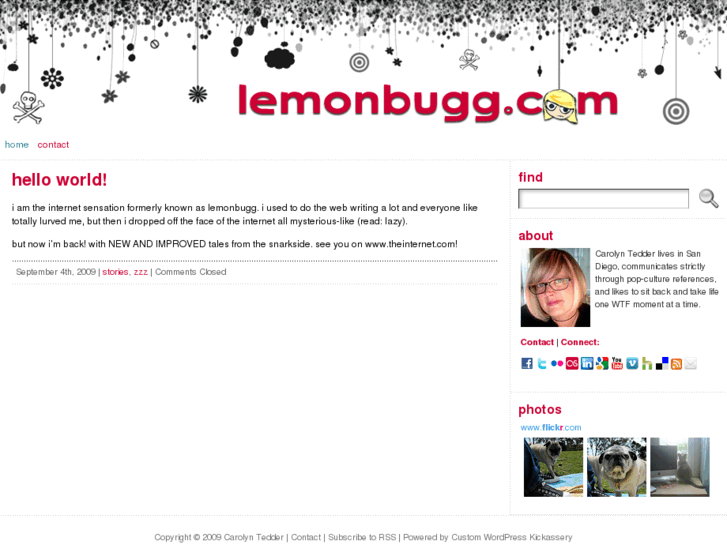 www.lemonbugg.com