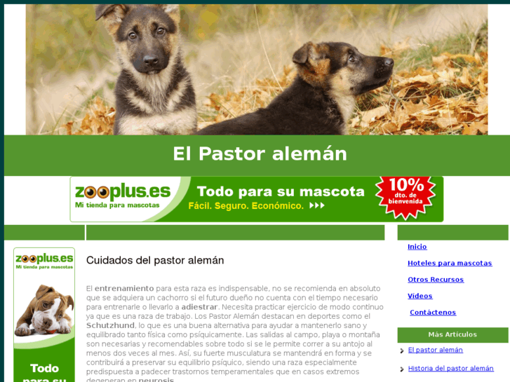 www.pastoraleman.org