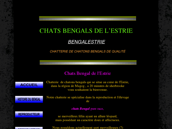 www.bengalestrie.com