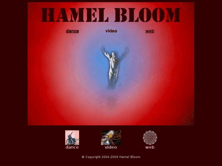 www.hamelbloom.com