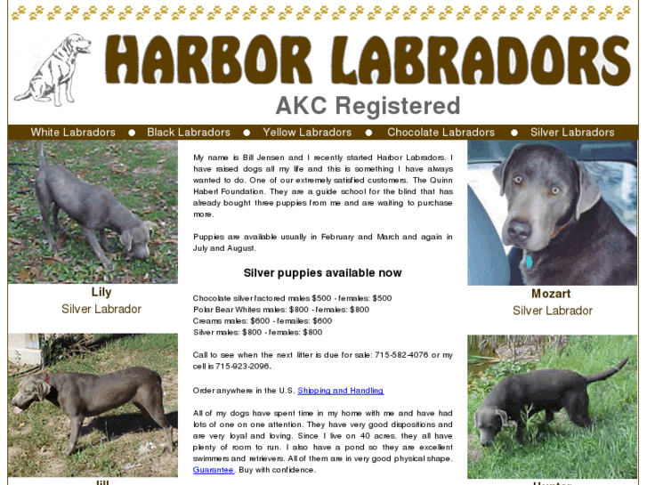 www.harborlabradors.com