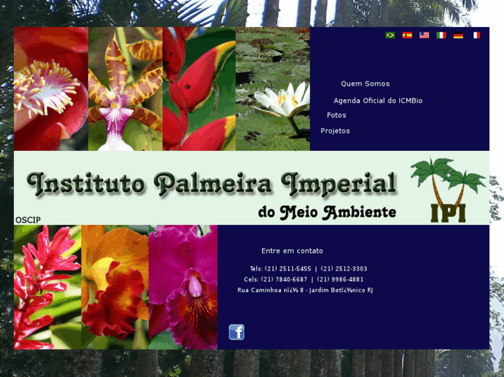 www.institutopalmeiraimperial.com.br