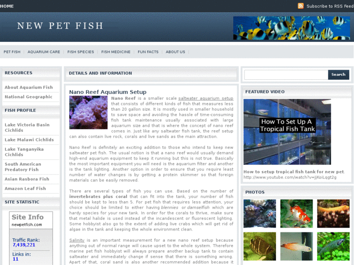 www.newpetfish.com