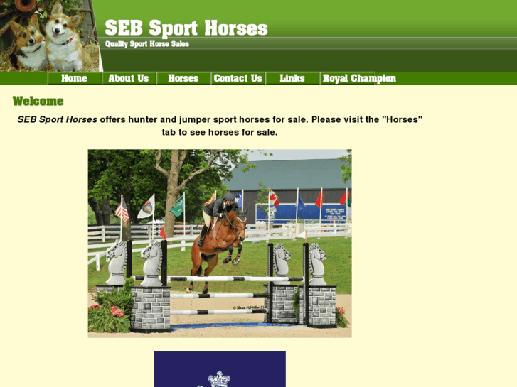 www.seb-sporthorses.com