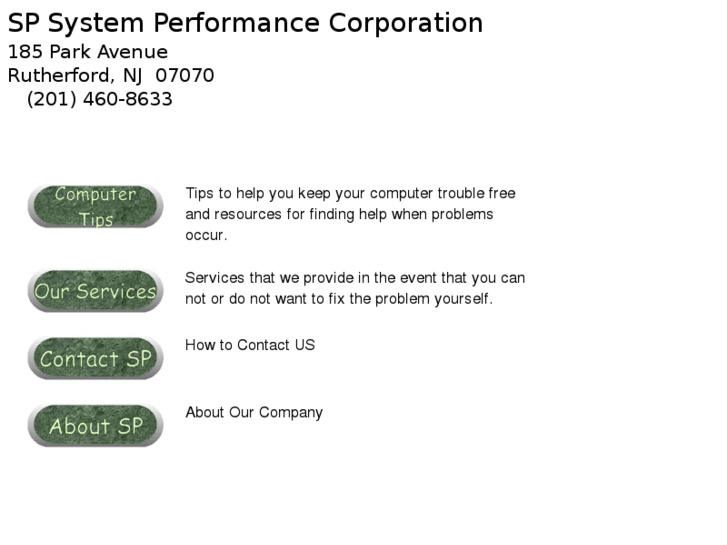 www.systemperformance.biz