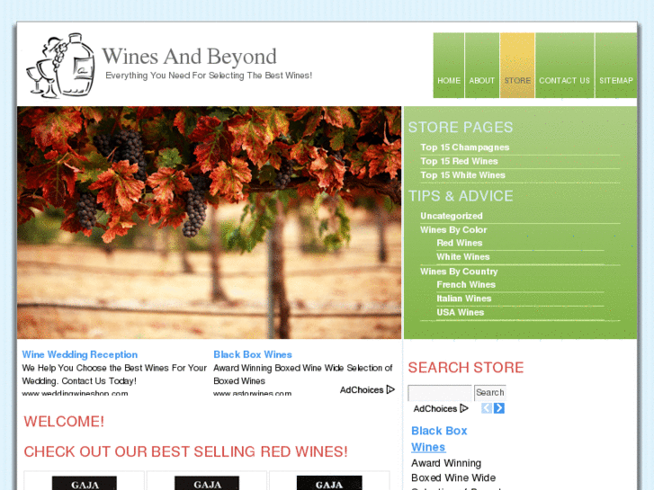 www.winesandbeyond.com