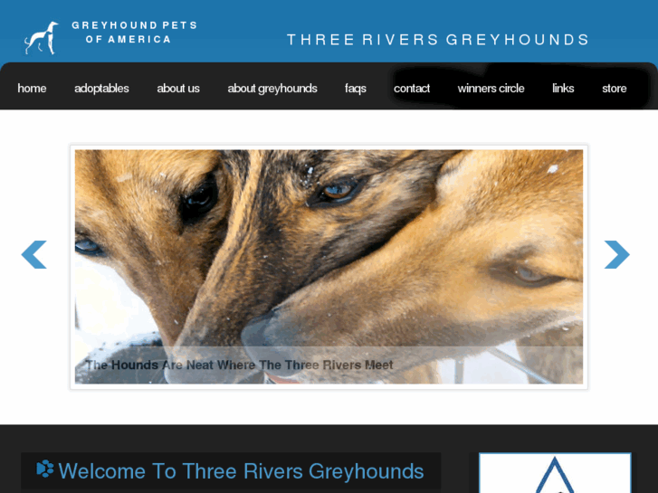 www.gpathreeriversgreyhounds.net