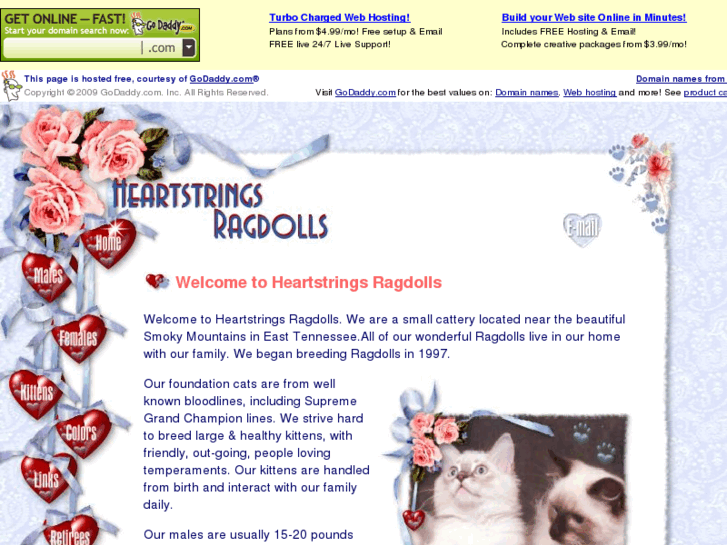 www.heartstringsragdolls.com