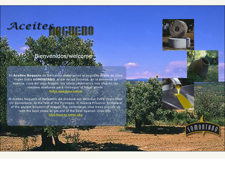 www.aceitesnoguero.com