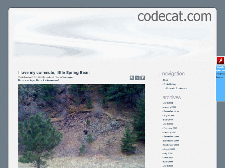 www.codecat.com