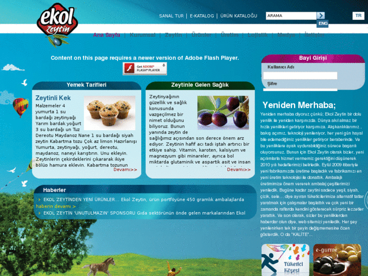 www.ekolzeytin.com