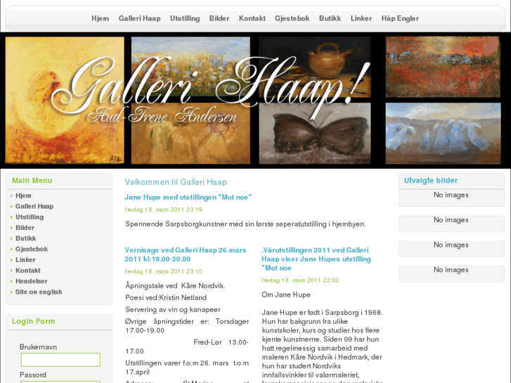 www.galleri-haap.com