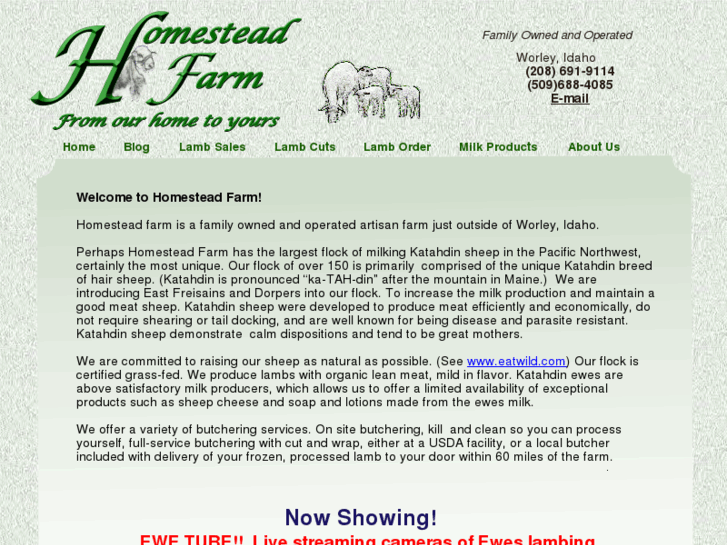 www.homesteadsheep.com