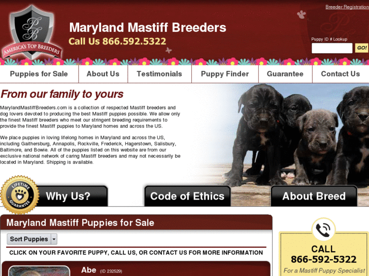 www.marylandmastiffbreeders.com