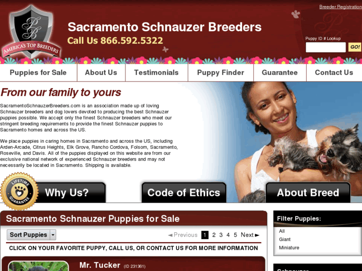 www.sacramentoschnauzerbreeders.com