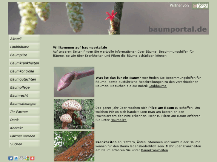 www.baumportal.com