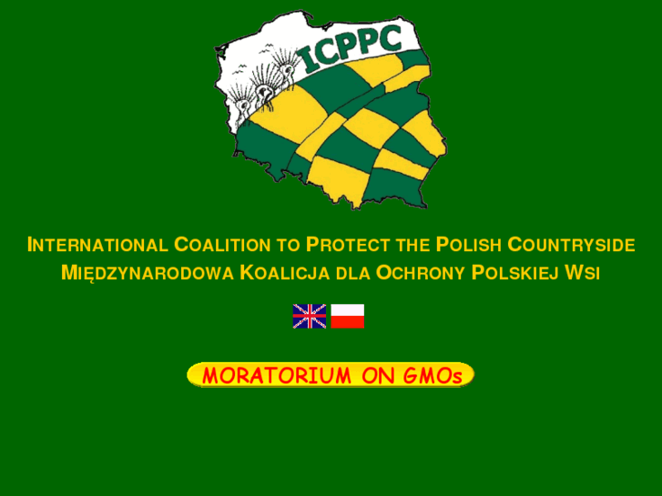 www.icppc.pl