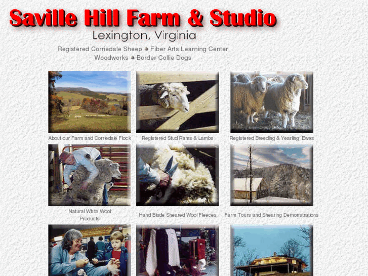 www.savillehillfarm.com