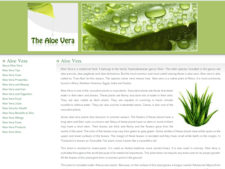 www.thealoevera.com